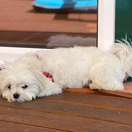 Vida-vi, And Bed & Breakfast 4*