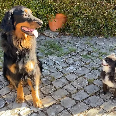 Bed & Breakfast Vida-vi, And Carvalhal Bemfeito