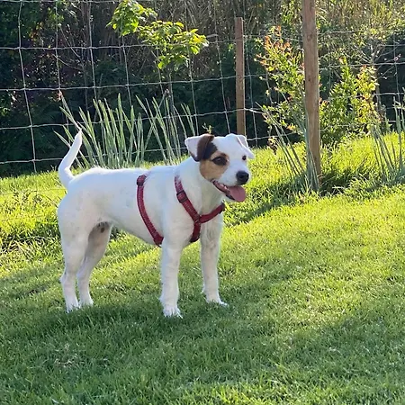 Vida-vi, And Bed & Breakfast 4*