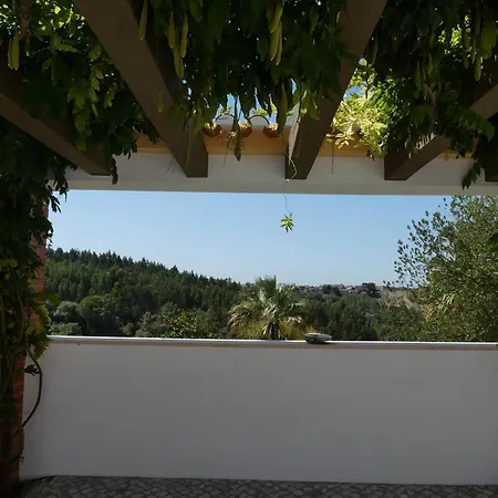 Vida-vi, And Santa Catarina (Leiria)